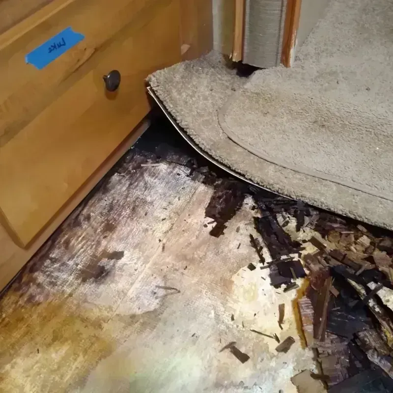 Best Wood Floor Water Damage Service in Indian Hills, CO